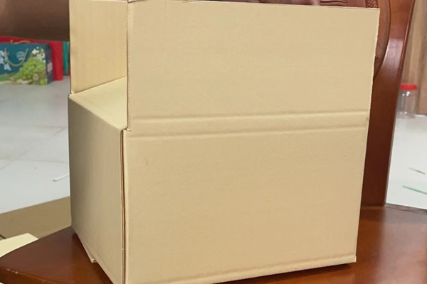 Bamboo Pulp Paper Carton